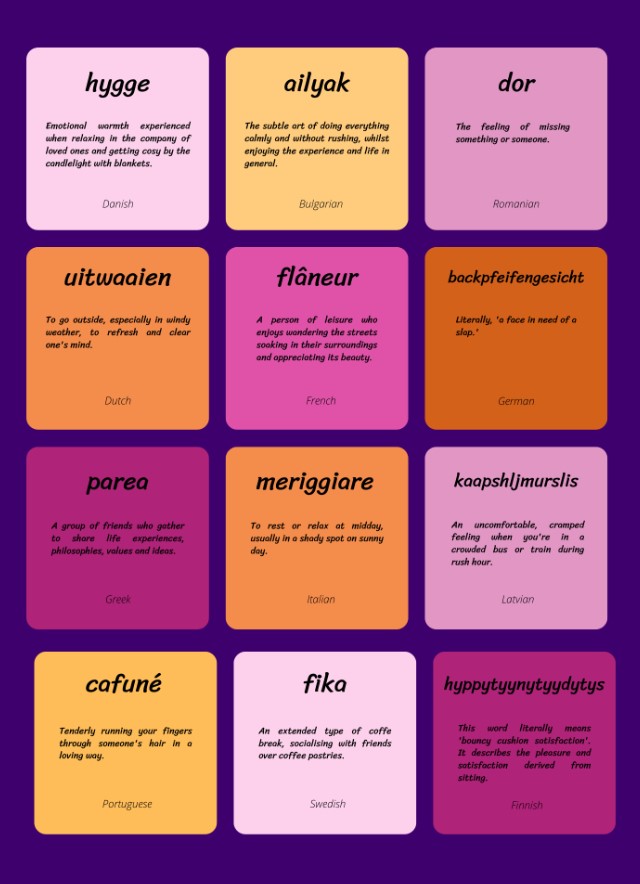 Mots intraduisible